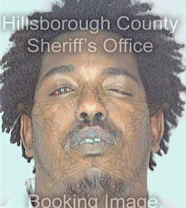 Sherman Brian - Hillsborough County, FL 
