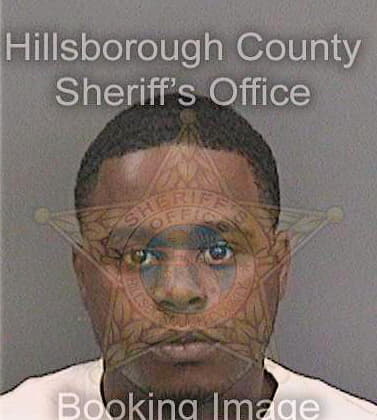 Smith Demario - Hillsborough County, FL 