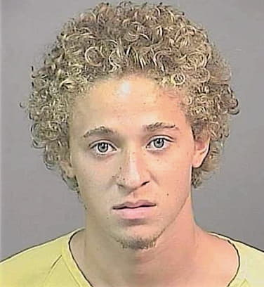 Tolliver Shylo - Brevard County, FL 