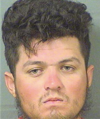 Reyesantunez Adonis - PalmBeach County, FL 