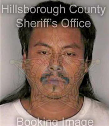 Hernandez Eliseo - Hillsborough County, FL 