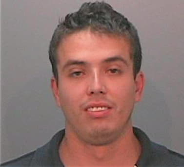 Gonzalez-Aviles Felipe - Hays County, TX 