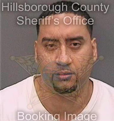 Hernandez Florentine - Hillsborough County, FL 