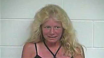 Dollenmeyer Janet - Carroll County, KY 