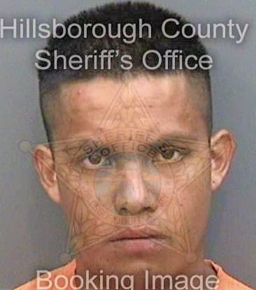 Moranmartinez Luis - Hillsborough County, FL 