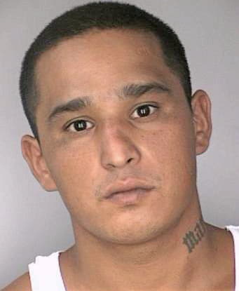 Belmarez Marco - Hillsborough County, FL 