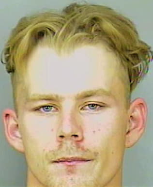 Henderson Michael - Polk County, FL 