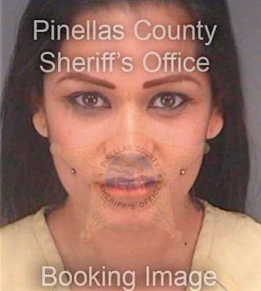 Ramirez Norma - Pinellas County, FL 