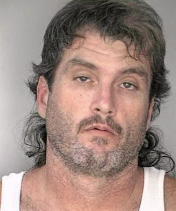 Lindner Paul - Hillsborough County, FL 