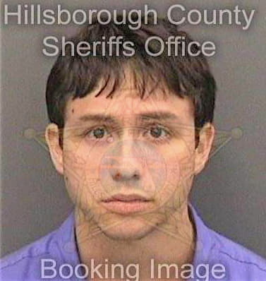 Simon Ian - Hillsborough County, FL 