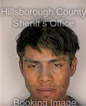 Carbajalmorales J - Hillsborough County, FL 