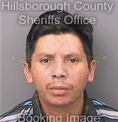 Gonzalezoxlaj Juan - Hillsborough County, FL 