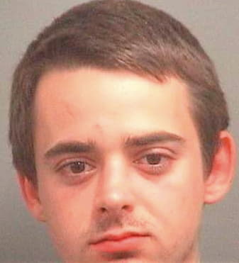 Donnini Nathan - PalmBeach County, FL