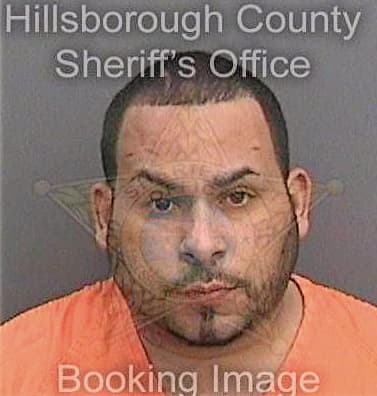 Sotomojica Roberto - Hillsborough County, FL 
