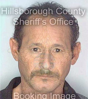 Medina Alejandro - Hillsborough County, FL 