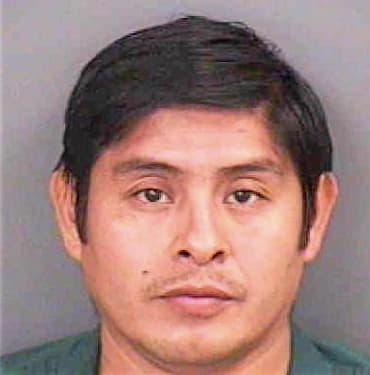 Lopez Diogenes - Collier County, FL 