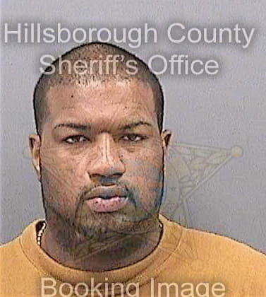 Gonzalezsantos Hector - Hillsborough County, FL 