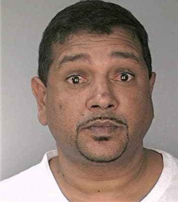 Gobin Ian - Hillsborough County, FL 