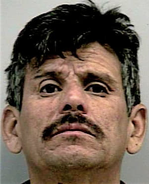 Ruiz Jose - Gwinnett County, GA 
