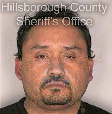 Quinones Luis - Hillsborough County, FL 