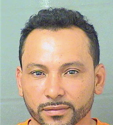 Hernandezgutierez Mario - PalmBeach County, FL 