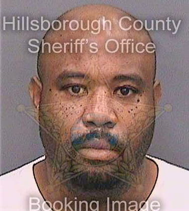 Ogletree Steven - Hillsborough County, FL 