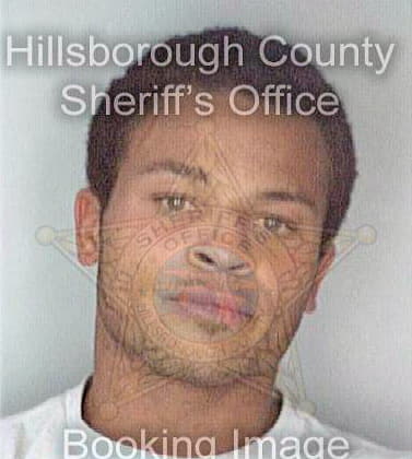 Mosley Daniel - Hillsborough County, FL 