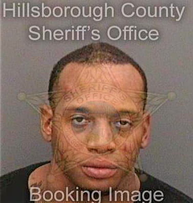 Murray Ervin - Hillsborough County, FL 