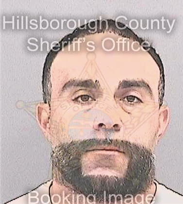 Acevedo Michael - Hillsborough County, FL 