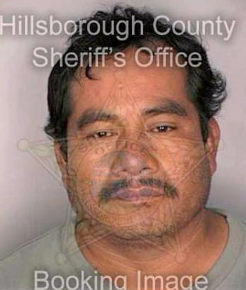Perez Pedro - Hillsborough County, FL 