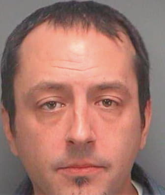 Michonski Shawn - Pinellas County, FL 