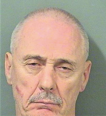 Ankudinov Alexander - PalmBeach County, FL 