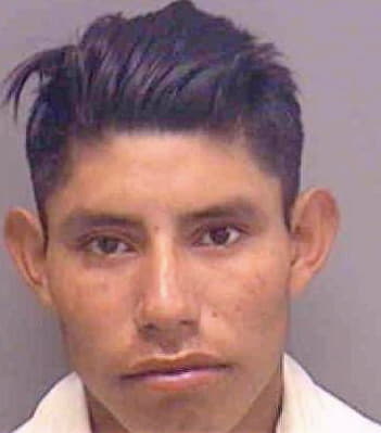 Ordonez-Chivalan Fernando - Lee County, FL 