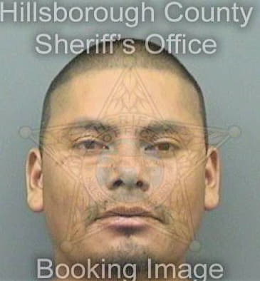 Sanchez Juan - Hillsborough County, FL 