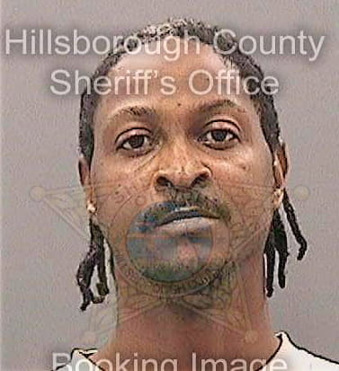 Williams Reginald - Hillsborough County, FL 