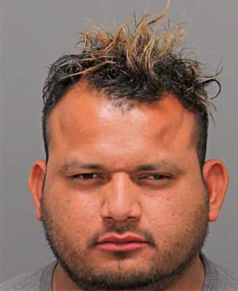Martinez-Molina Yony - Wake County, NC 