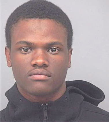 Brown Brian - Gwinnett County, GA 