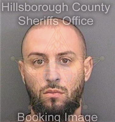 Brito Gabriel - Hillsborough County, FL 