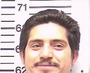 Gonzalez-Chacla Mario - Robertson County, TN 