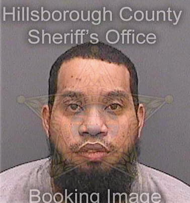 Alexander Michael - Hillsborough County, FL 