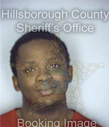 Barnes Ray - Hillsborough County, FL 