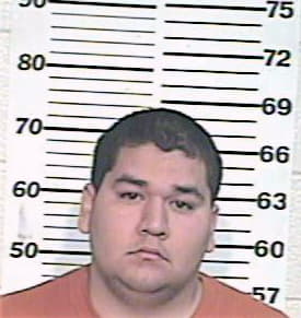 Perez Reynaldo - Hidalgo County, TX 