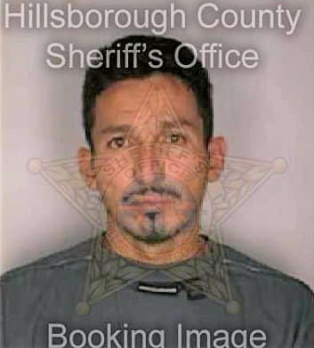 Alvarado Geovanny - Hillsborough County, FL 