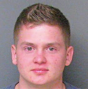 Somerset Joey - Gaston County, NC 