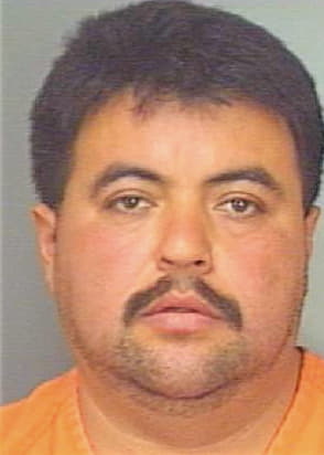 Cornejo Jose - Polk County, FL 