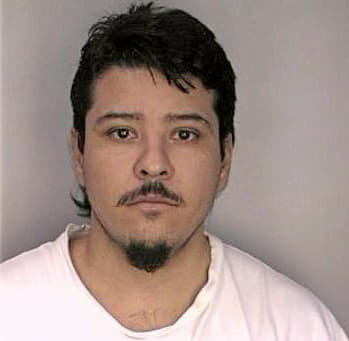 Delgadosalgado Miguel - Hillsborough County, FL 