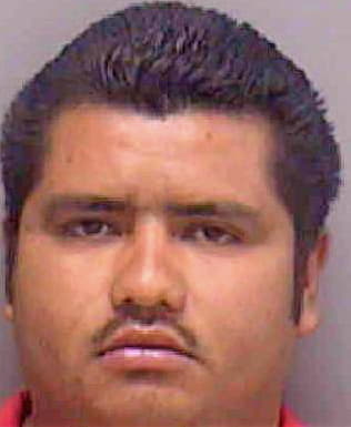 Gonzalez Santiago - Lee County, FL 