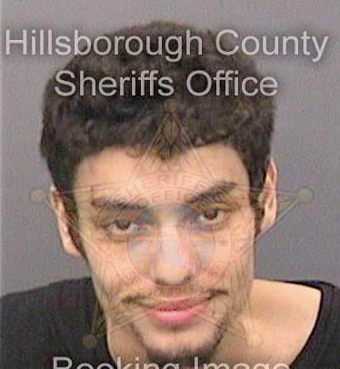 Melendez Daniel - Hillsborough County, FL 