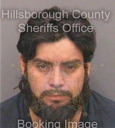 Hernandez Juan - Hillsborough County, FL 