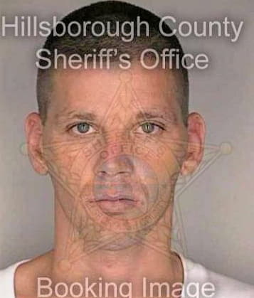 Reed Scottie - Hillsborough County, FL 